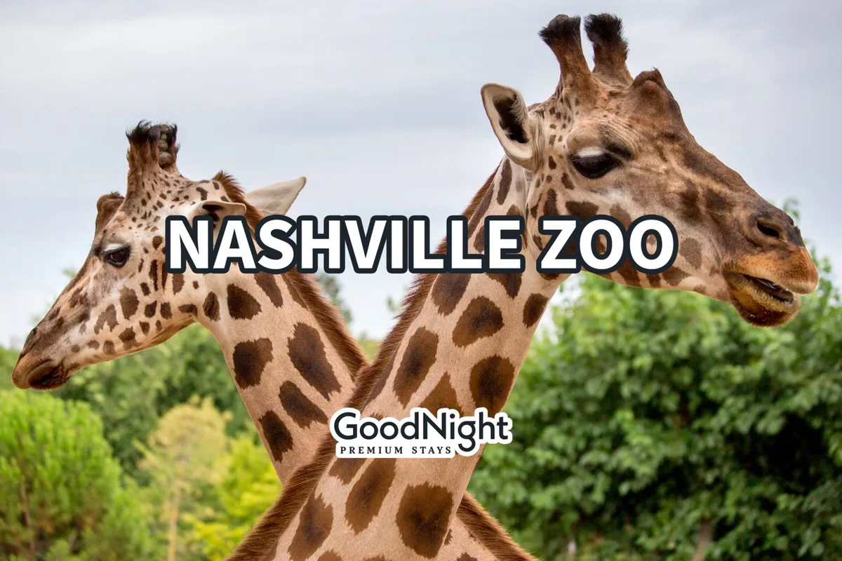 A joyful outdoor scene featuring giraffes set amidst lush greenery, capturing the excitement and wonder of a family outing to the zoo. Visitors can be seen enjoying close-up views of the animals, making it an ideal representation of local kid-friendly attractions.